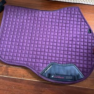 fig lemieux jumping pad